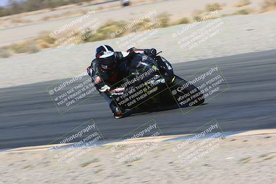 media/Mar-12-2022-SoCal Trackdays (Sat) [[152081554b]]/Turn 14 Inside (155pm)/